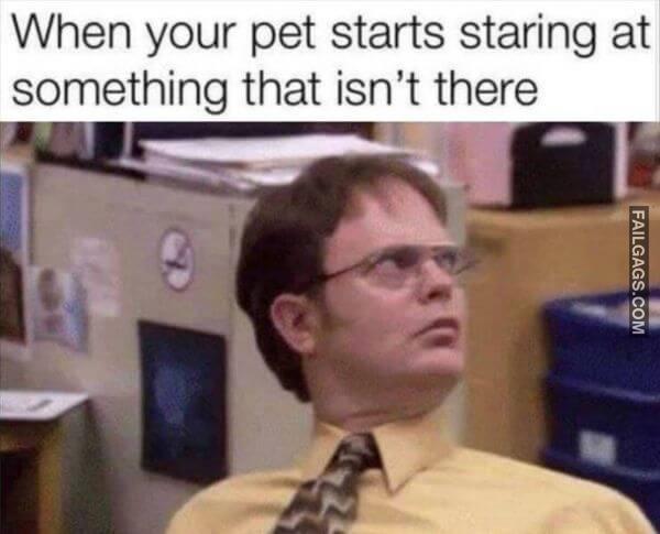 Random Funny Memes 3 9