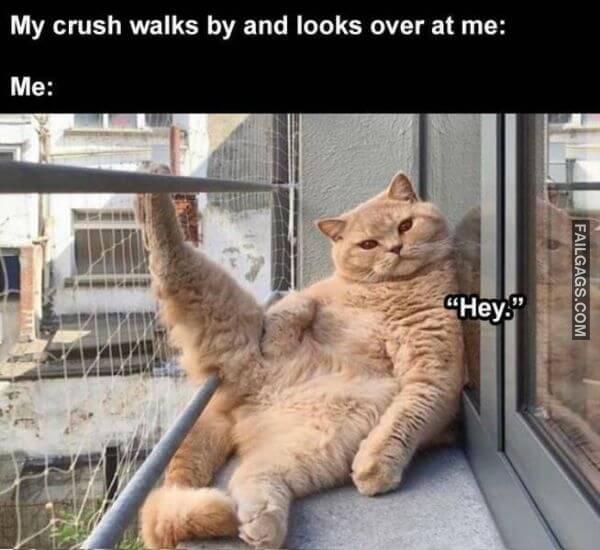 Random Funny Memes 3