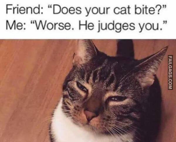 Random Funny Memes 5 3