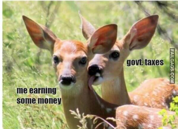 Random Funny Memes 8 8