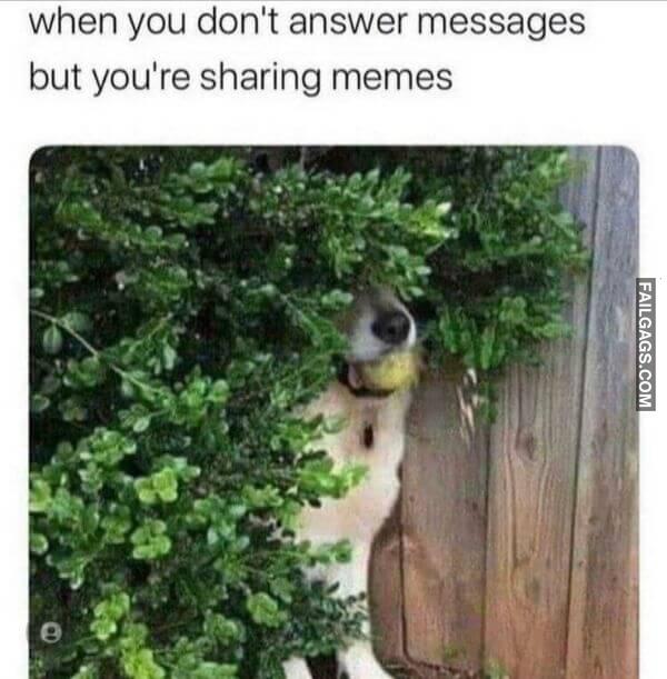 Random Funny Memes 9 8