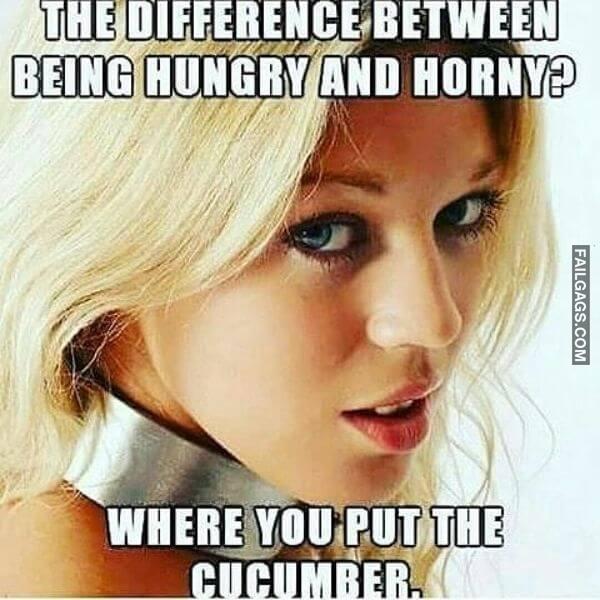 Dirty Memes for Adults 11 1