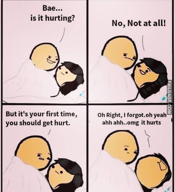 Dirty Memes for Adults 13 1