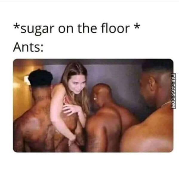 Funny Adult Memes 18 13 1