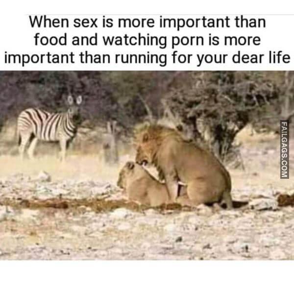 Funny Adult Memes 4 4