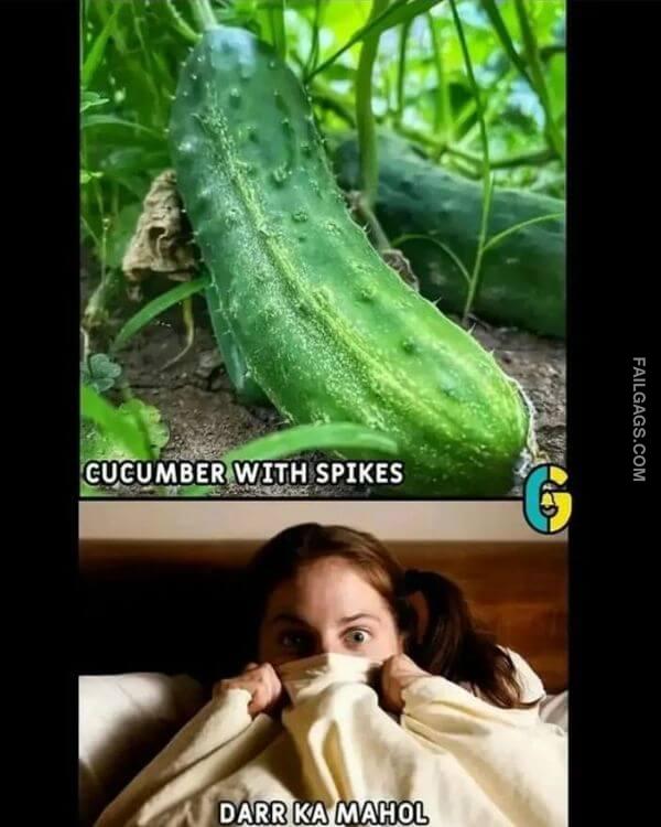 Funny Indian Sex Memes 8 2