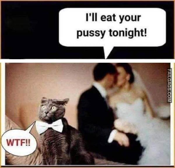 Ill Eat Your Pussy Tonight Wtf Dirty Sex Memes
