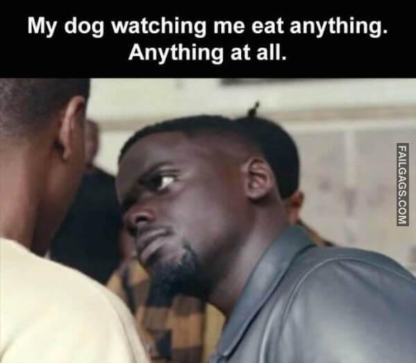 Random Funny Memes 1 12