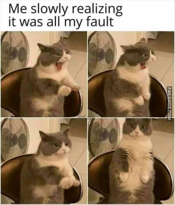 Random Funny Memes 1 13