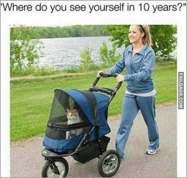 Random Funny Memes 11 11