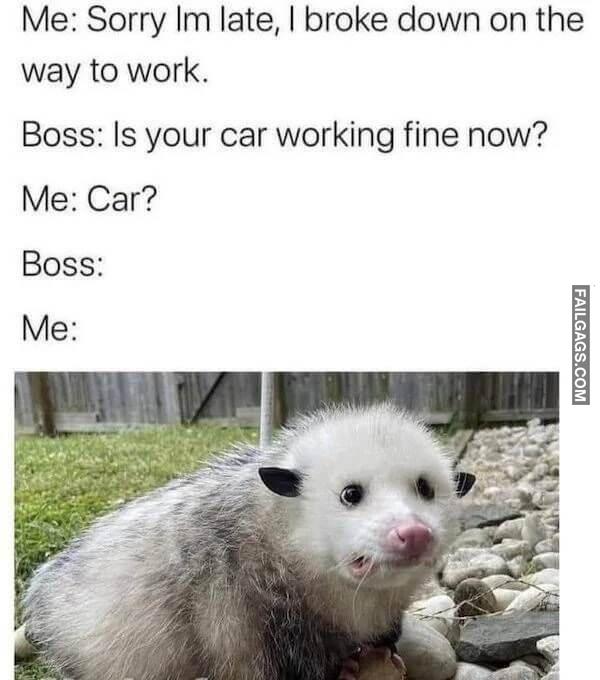 Random Funny Memes 12 12