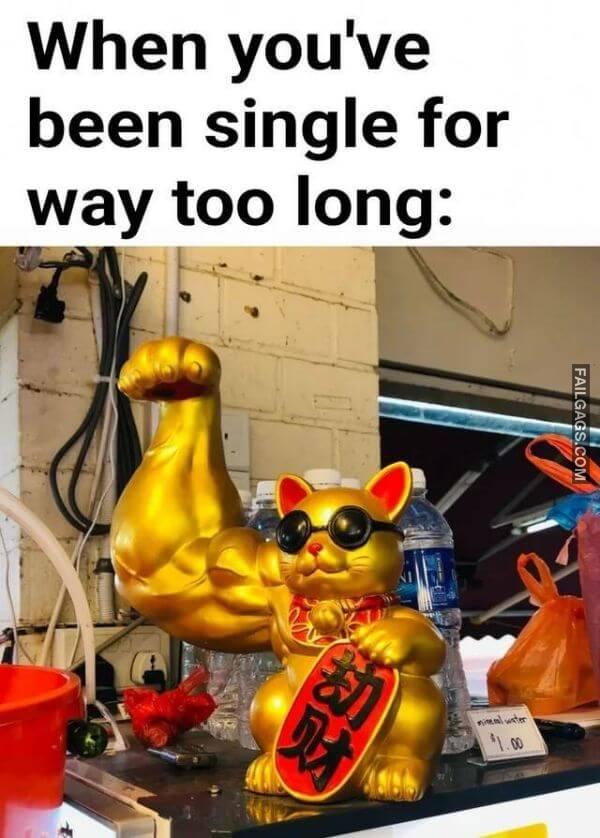 Random Funny Memes 12 3