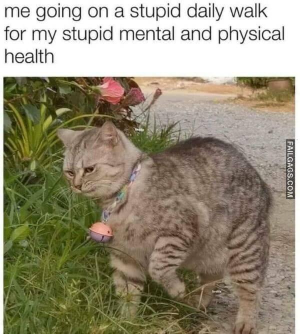 Random Funny Memes 12 9