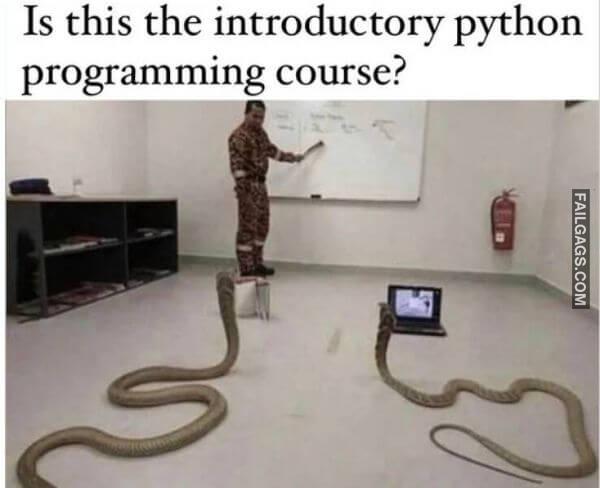 Random Funny Memes 13 6