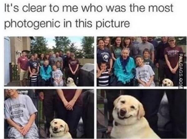 Random Funny Memes 14 2