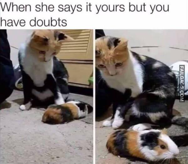 Random Funny Memes 2