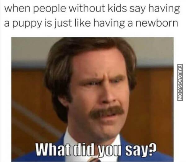 Random Funny Memes 4 13