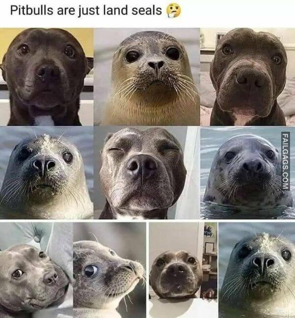 Random Funny Memes 4