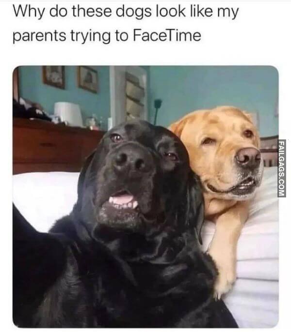 Random Funny Memes 5 11