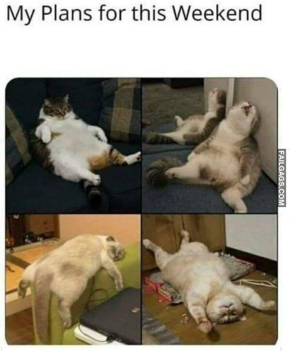 Random Funny Memes 7 5