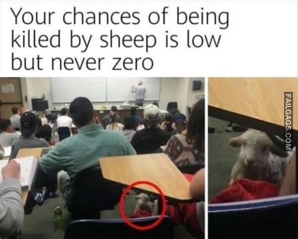 Random Funny Memes 7 8