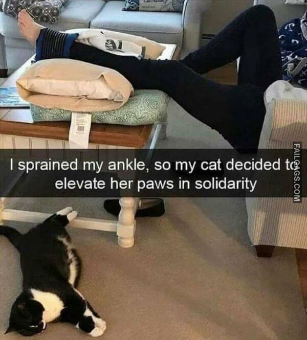 Random Funny Memes 9