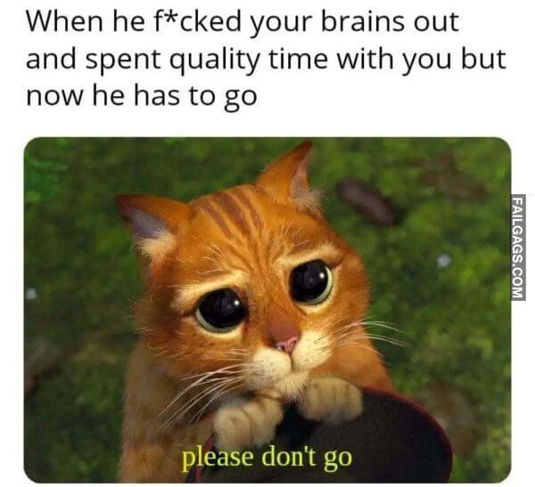 Funny Adult Memes That Arent for Innocent Minds 4