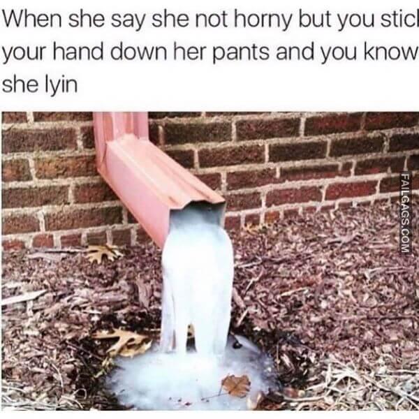 Funny Sex Memes 3 1