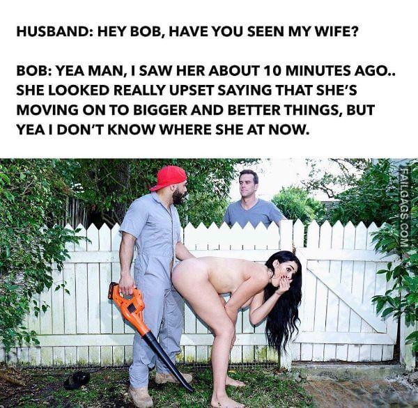 Hey Bob Have You Seen My Wife
