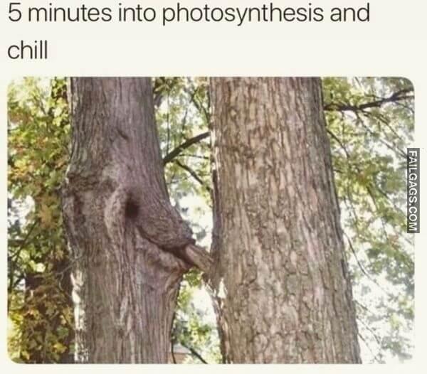 Hilarious Dirty Memes 7