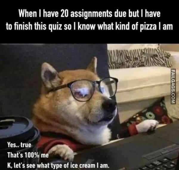 Random Funny Memes 1 11