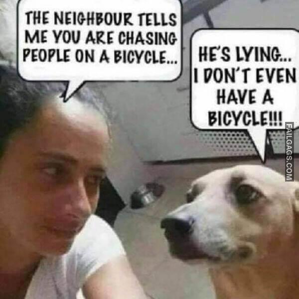 Random Funny Memes 1 17