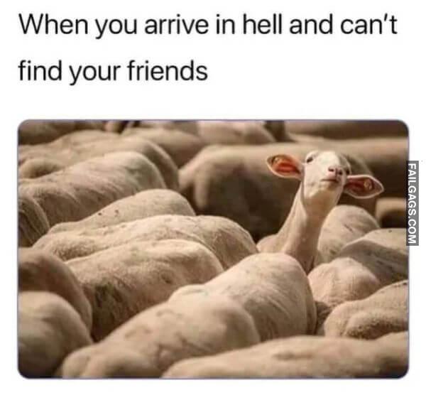 Random Funny Memes 1 8