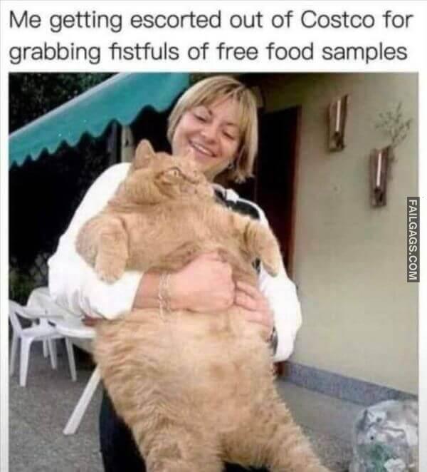 Random Funny Memes 11 14