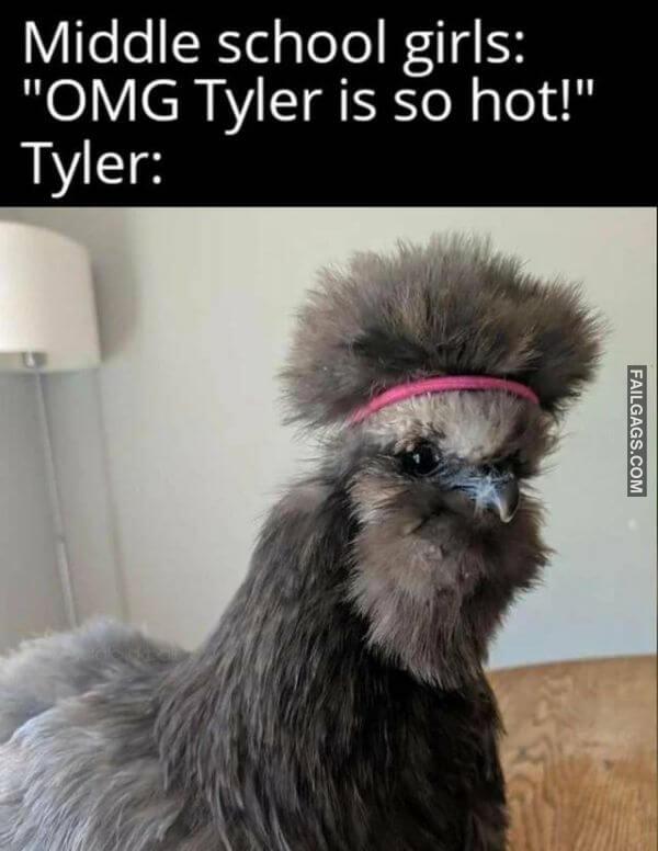 Random Funny Memes 11 3