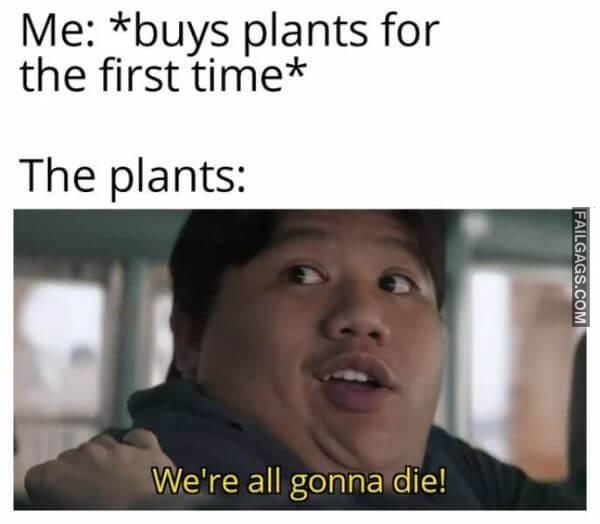 Random Funny Memes 11 7