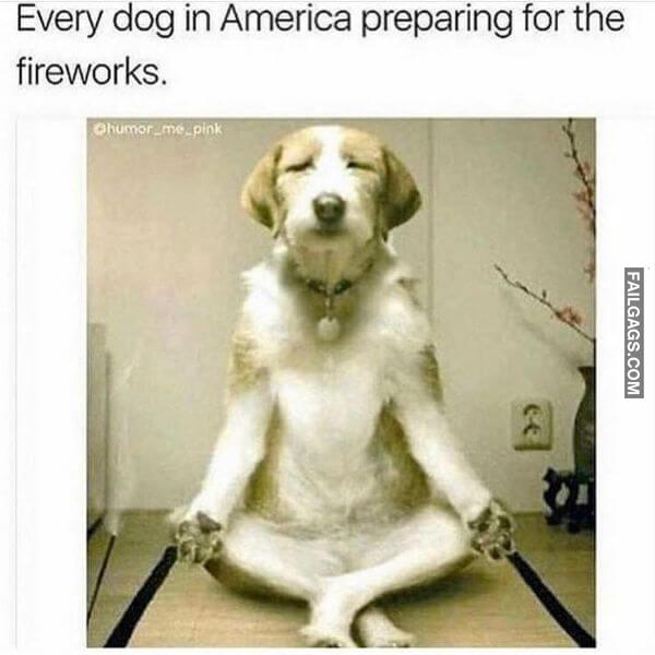 Random Funny Memes 12 12