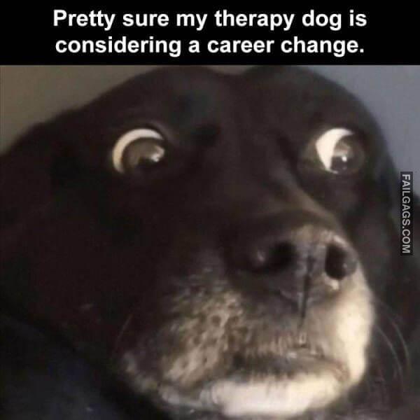 Random Funny Memes 13 5