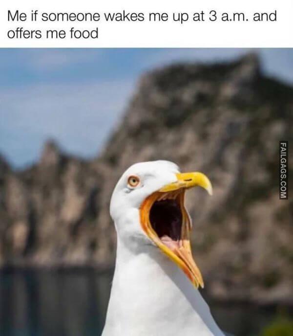 Random Funny Memes 14 3