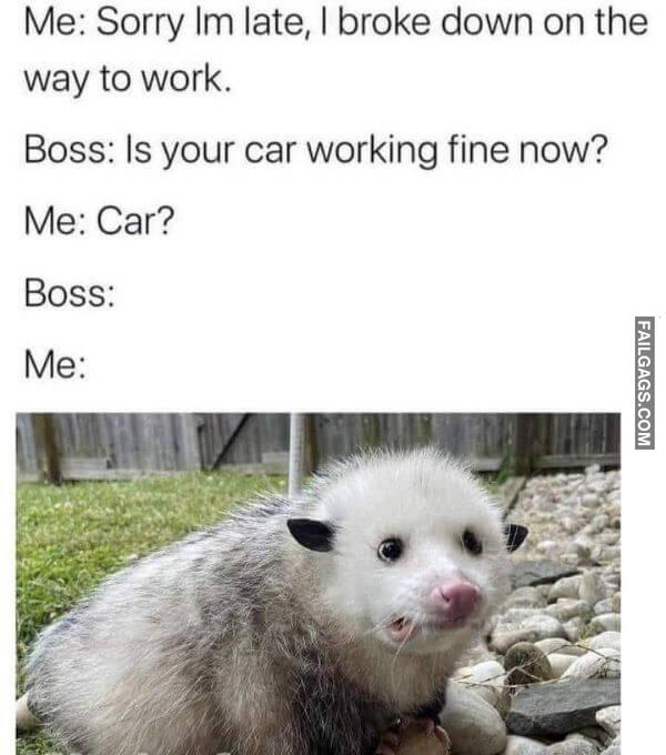 Random Funny Memes 2 10