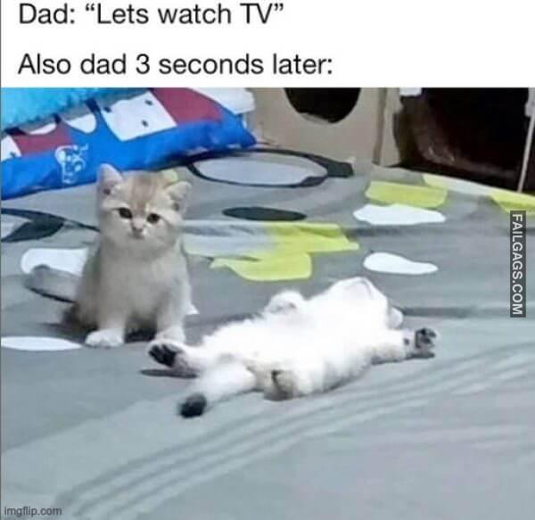 Random Funny Memes 5 14