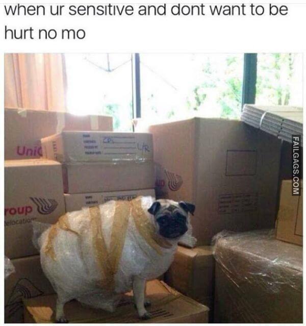 Random Funny Memes 5 9