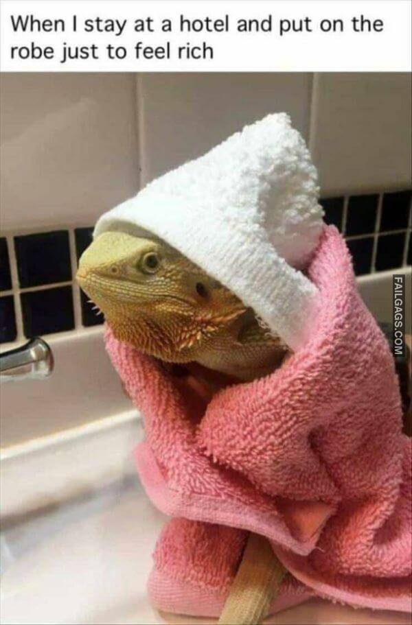 Random Funny Memes 8 2