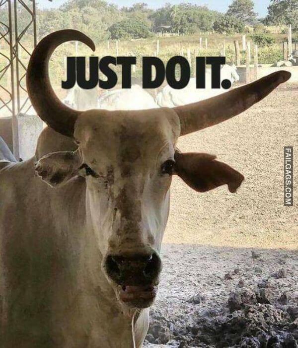 Random Funny Memes 8