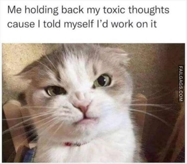 Random Funny Memes 9 4