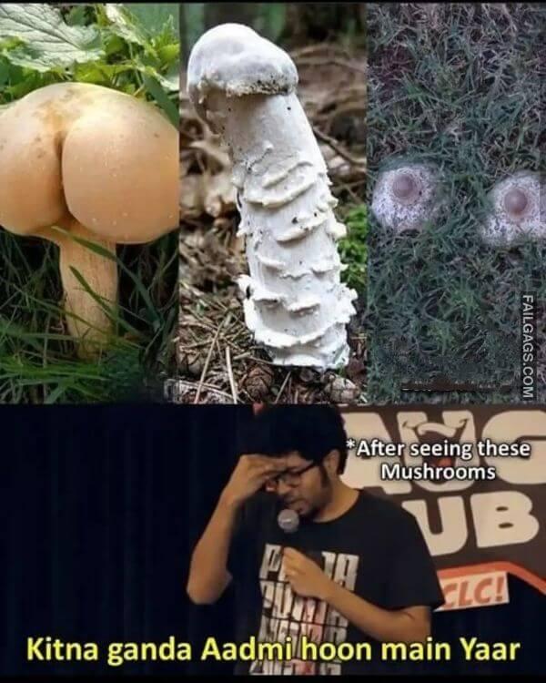 Dirty Double Meaning Memes in Hindi 7