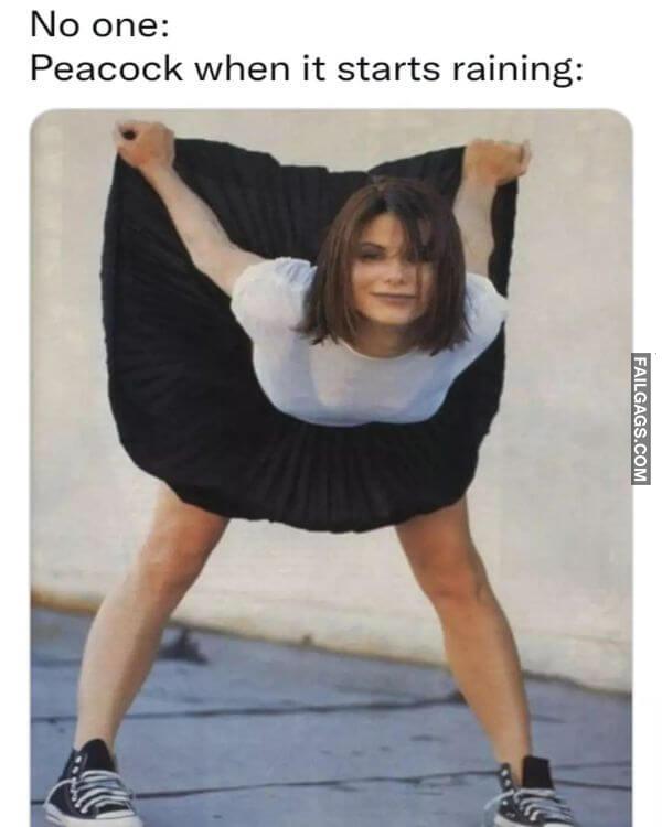 Funny Adult Memes for Non adult Minds 5