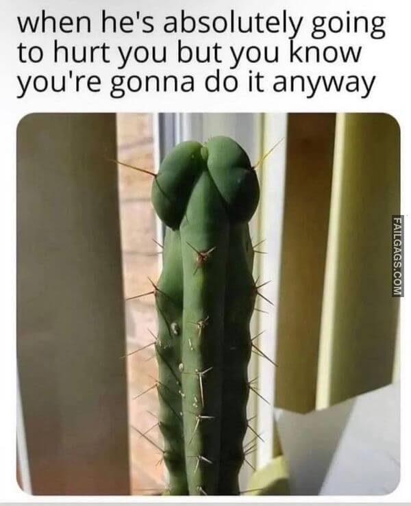 Funny Adult Memes for Non adult Minds 8