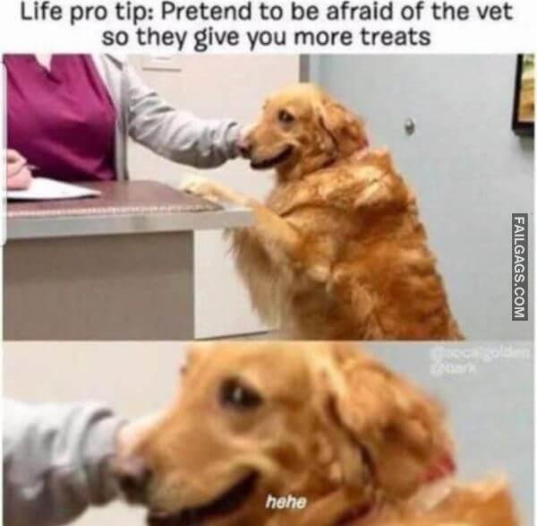 Random Funny Memes 1 4