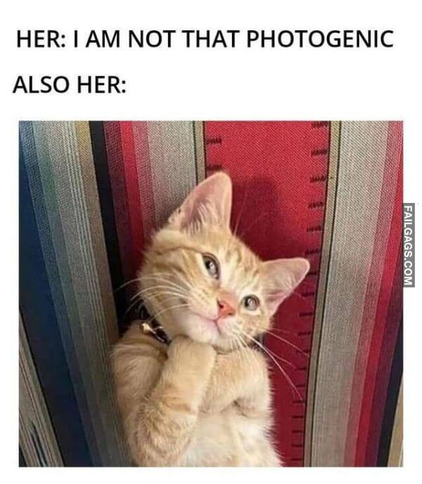 Random Funny Memes 12